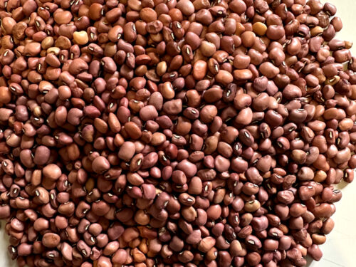 RED COWPEAS