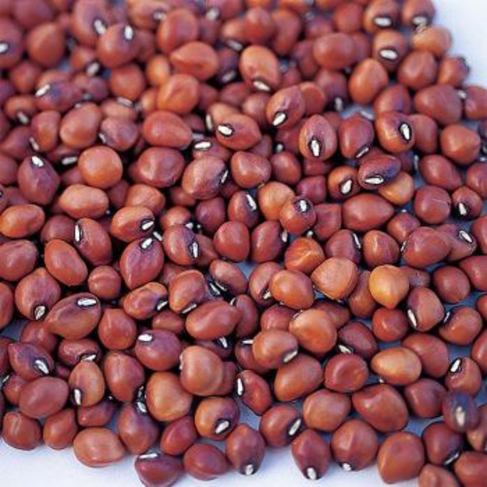 Red Cowpeas